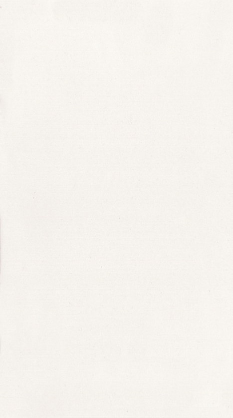 ESTILO - NIRO GRANITE